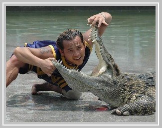 Crocopark